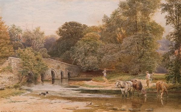 The Watering Hole - view 1
