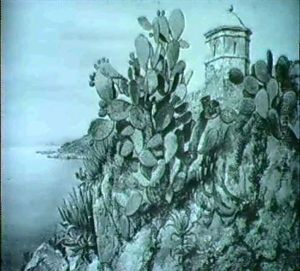 Cactus Opuntia On The Walls, Monaco