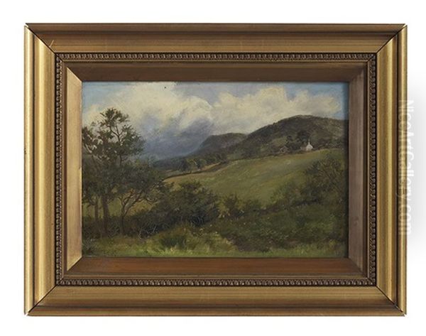 Looking Towards Trefriw From Llanbedr, Wales - view 1