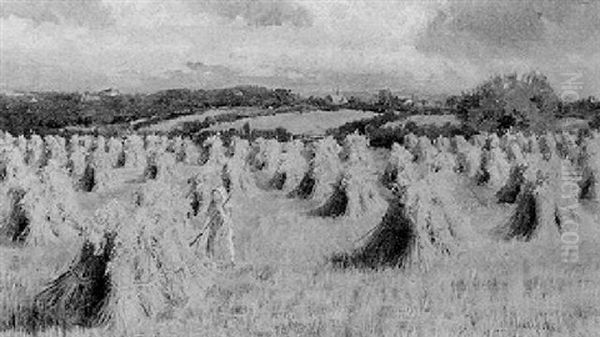A Cheshire Cornfield - view 1