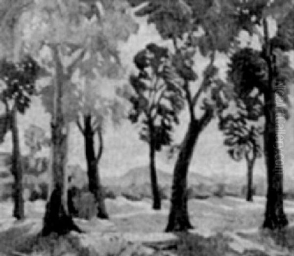 View Through The Trees - view 1