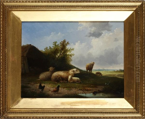 Sheep And Hens In A Field - view 1
