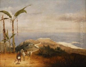 Alger Vu Des Hauteurs