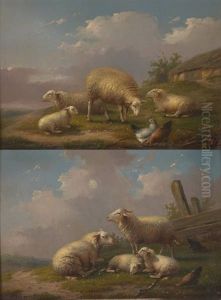 Moutons Dans Un Paysage
