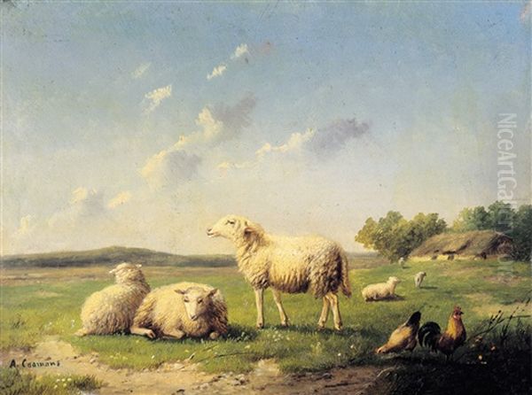 Schapen In Een Landschap - view 1