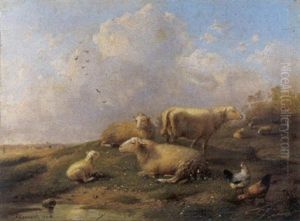 Schapen In Landschap