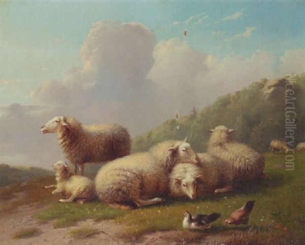 Sheep In A Barn - view 1