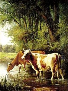 Cows At The Water Cows At The Water