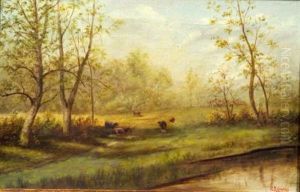 Grazing Cattle Grazing Cattle