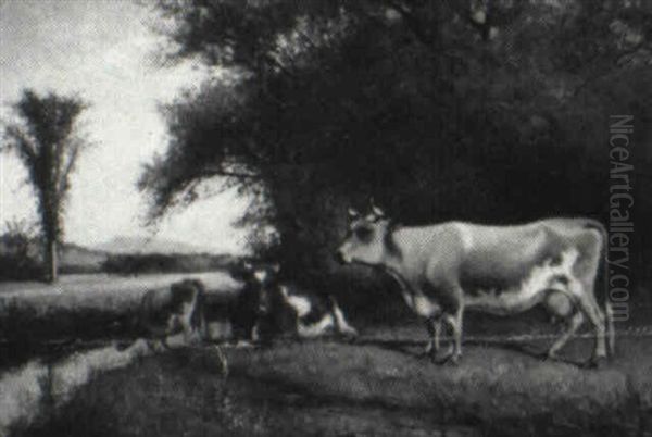 Cattle Grazing - view 1