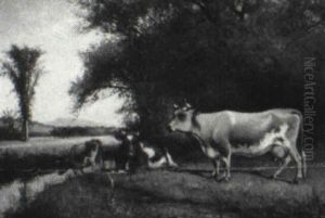 Cattle Grazing