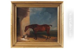 Chestnut Hunter