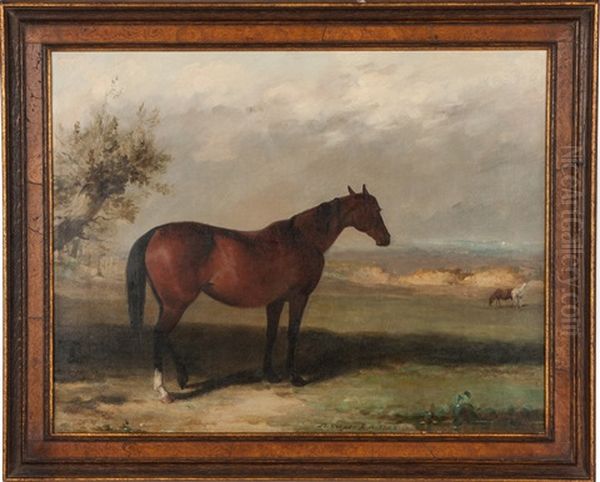 A Bay Hunter - view 1