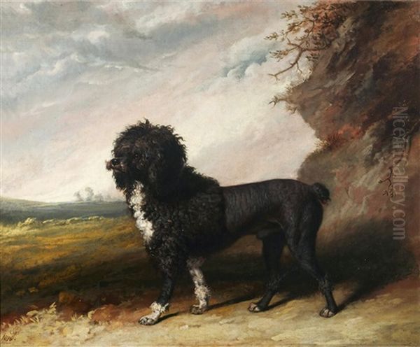 Poodle In A Landscape - view 1