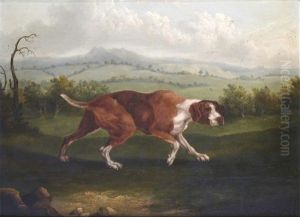 The Spanish Pointer