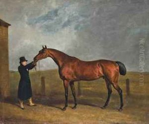 Truffle, Owned By Colonel Udney Truffle, Owned By Colonel Udney