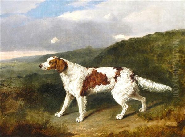 An Irish Red And White Setter In A Landscape - view 1
