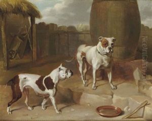 Deux Chiens Dans Une Cour Deux Chiens Dans Une Cour