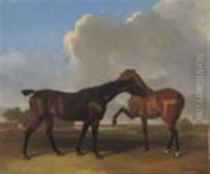 Favourite Horses Of Lord Charles Ferrers Townshend, Bagham by Abraham Cooper