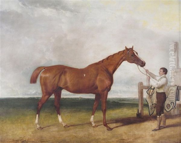 A Bay Hunter In A Park Held By A Groom - view 1