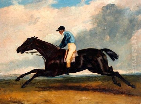 Cadland, Winner Of The Derby - view 1