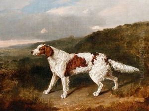 A Setter In A Landscape