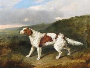 A Pointer In A Landscape A Pointer In A Landscape