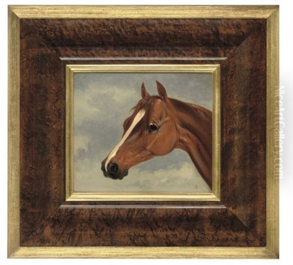 Mr. Stanlake Baston's Chestnut Colt Plenipotentiary (study) - view 1