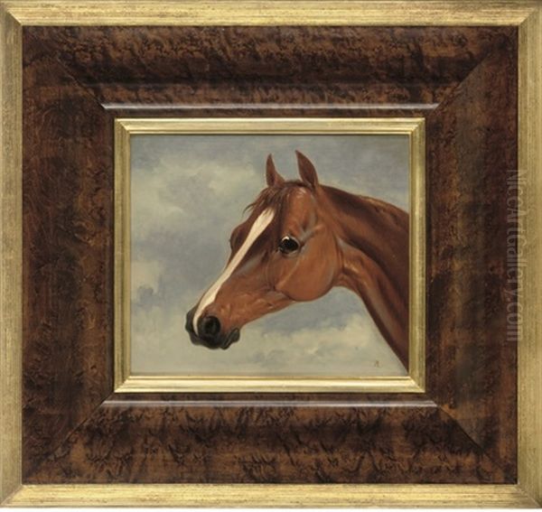 Mr. Stanlake Baston's Chesnut Colt Plenipotentiary (study) - view 1