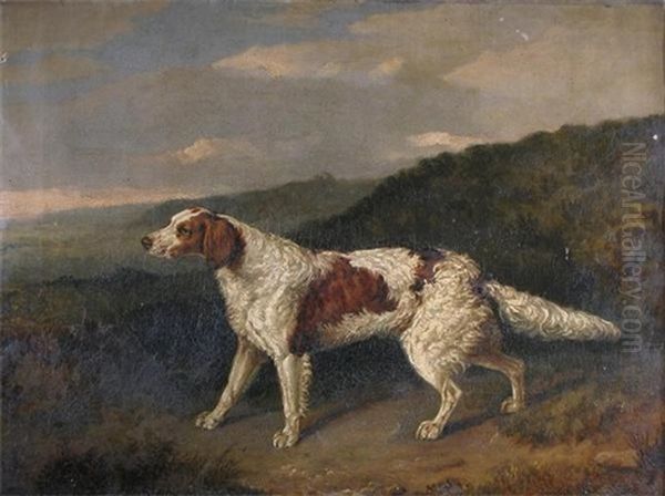 A Pointer In A Landscape - view 1
