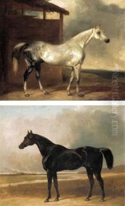 Captain Lord Charles Pelham-clinton's 1st Life Guard's Charger (+ Lady Charles Pelham-clinton's Grey Arab Hack; Pair) Captain Lord Charles Pelham-clinton's 1st Life Guard's Charger (+ Lady Charles Pelham-clinton's Grey Arab Hack; Pair)