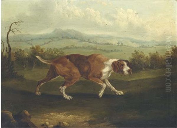 The Spanish Pointer (after George Stubbs) - view 1
