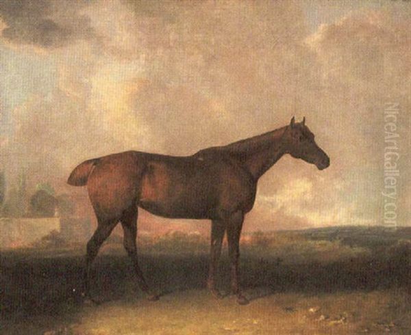 Chestnut Mare In Landscape - view 1