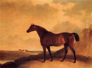 "richard" By "ozville"