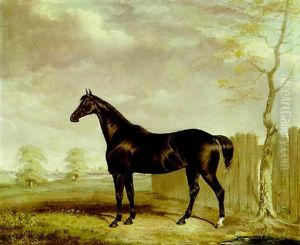 "gypsy" - A Black Horse In A Landscape