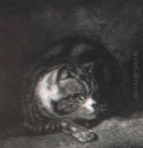 Study Of A Tabby Cat