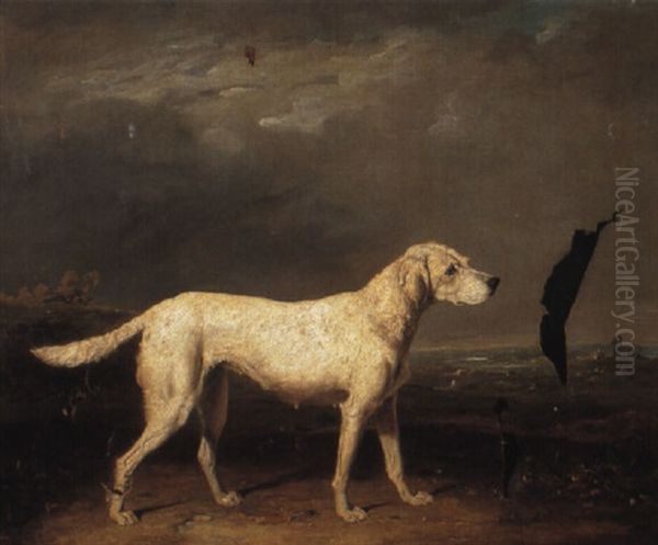 A Setter In A Landscape - view 1