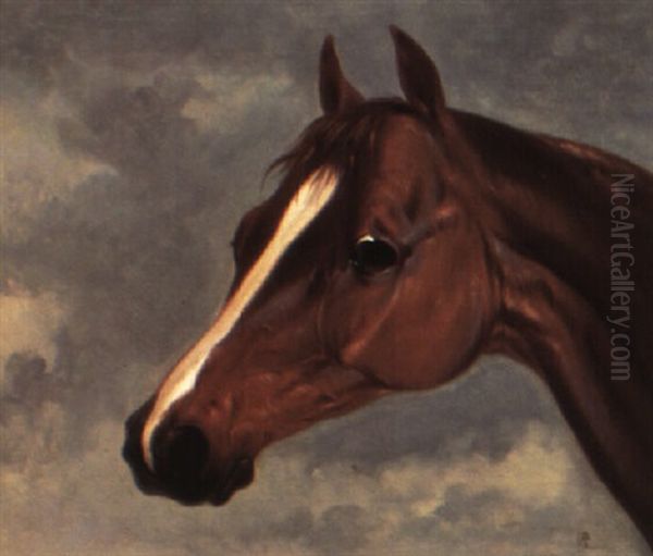 Study Of Mr. Stanlake Baston's Chesnut Colt 'plenipotentiary' - view 1