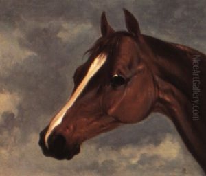 Study Of Mr. Stanlake Baston's Chesnut Colt 'plenipotentiary'
