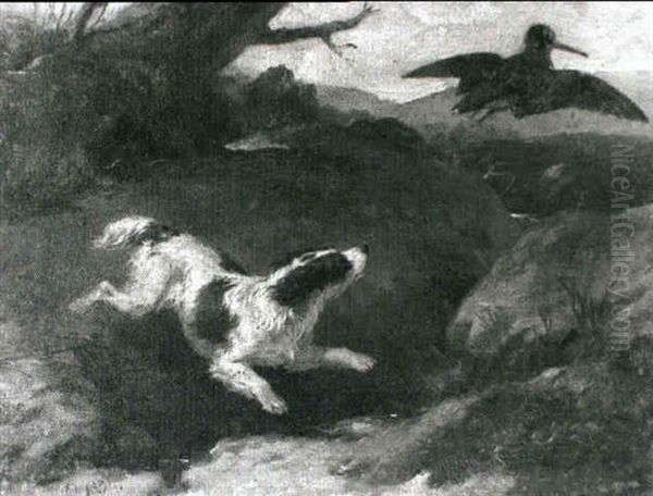 A Spaniel Putting Up Snipe - view 1