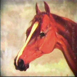 Study Of The Horse's Head 'plenipotentiary' by Abraham Cooper