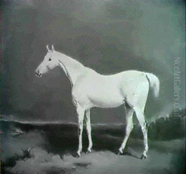 Portrait Of A Grey Hunter In A Landscape - view 1