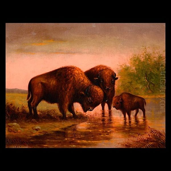 An American Family (buffalo) - view 1
