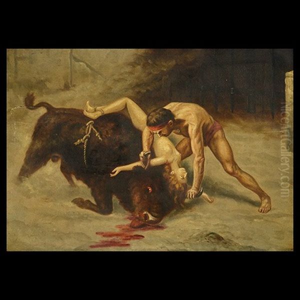 Bull Fighter - view 1