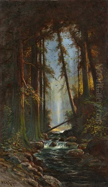 Stream Through Wooded Forest - view 1