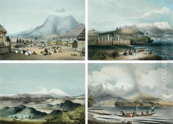The New Zealanders - view 1