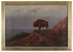 Plains Buffalo by Astley David Middleton Cooper