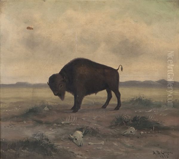 Buffalo In A Landscape - view 1