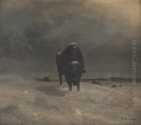 Buffalo Leading A Herd - view 1