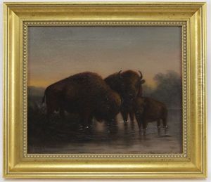 Buffalo by Astley David Middleton Cooper